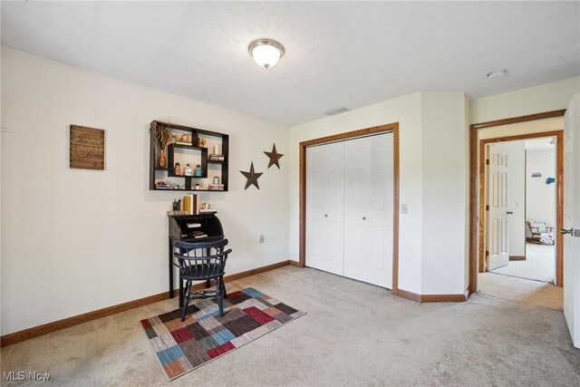 3823 Kyle Rd, Dorset, OH 44032 - interior space with carpet flooring