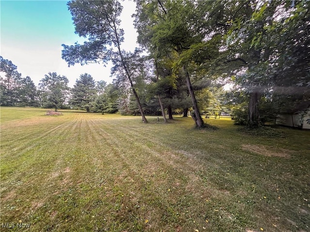 2055 Maple Dr, Columbiana, OH 44408 - photo 33