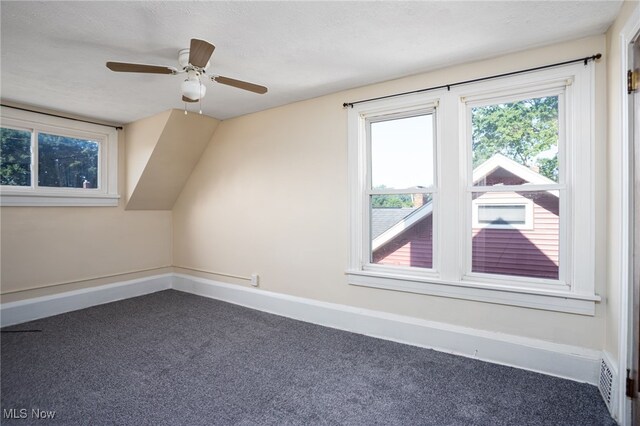 289-2891/2 E Baird Ave, Barberton, OH 44203 - bonus room featuring dark carpet and a ceiling fan