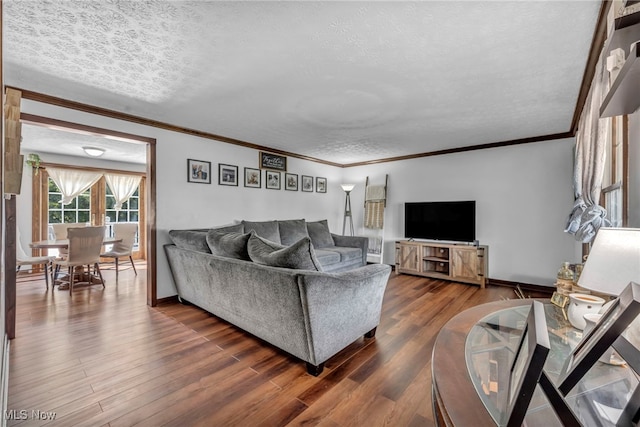 9827 Akron Rd, Rittman, OH 44270 - living area featuring a textured ceiling, dark wood-style floors, and ornamental molding