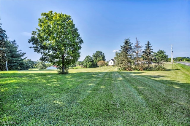 9827 Akron Rd, Rittman, OH 44270 - view of green lawn