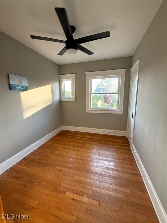1675 Roosevelt Ave, Lakewood, OH 44107 - photo 17