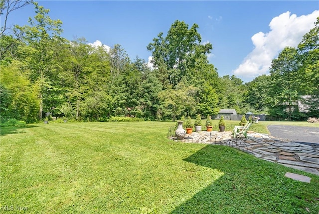 6100 Glenwood Ave, Boardman, OH 44512 - view of grassy yard featuring a patio
