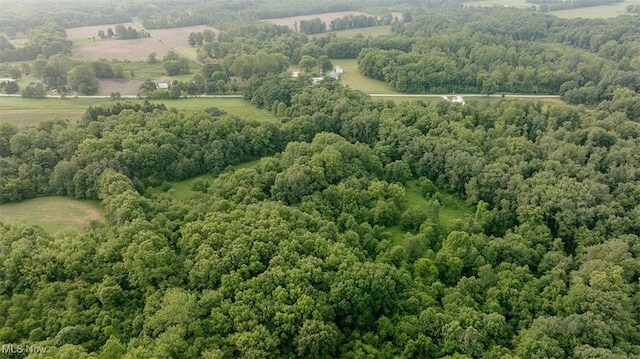Mcclintocksburg Rd, Newton Falls, OH 44444