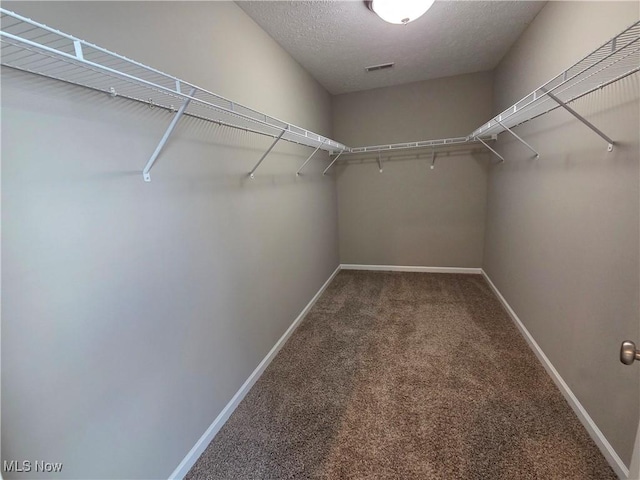 4312 Brooks Ct, Lorain, OH 44053 - walk in closet featuring carpet flooring