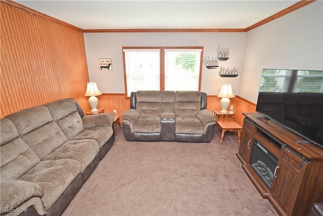 48 Mary Ann Ln, Youngstown, OH 44511 - living area with wood walls, a wainscoted wall, crown molding, and carpet