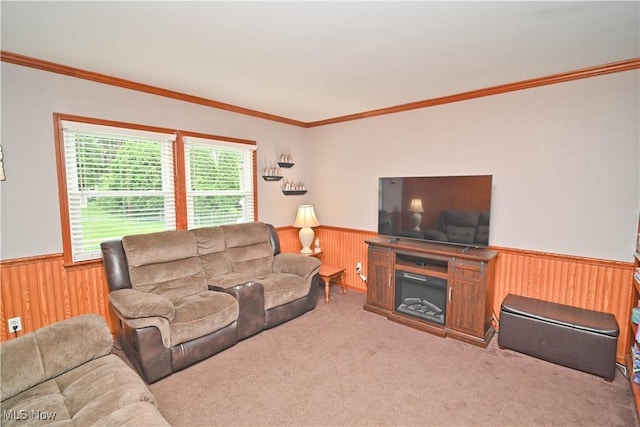 48 Mary Ann Ln, Youngstown, OH 44511 - living room featuring a wainscoted wall, wood walls, crown molding, and carpet