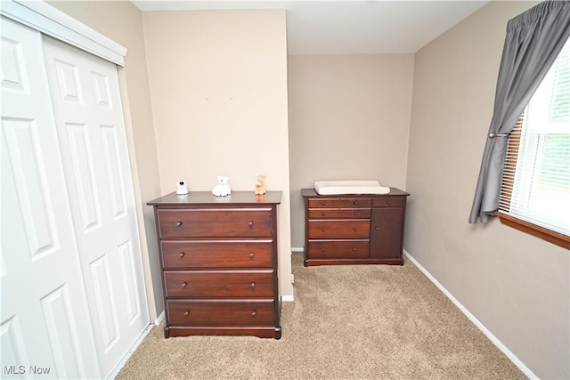 48 Mary Ann Ln, Youngstown, OH 44511 - bedroom featuring carpet and a closet