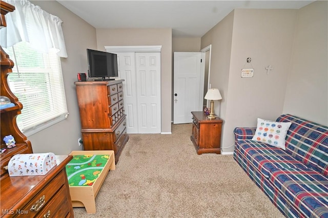 48 Mary Ann Ln, Youngstown, OH 44511 - sitting room with carpet flooring and baseboards