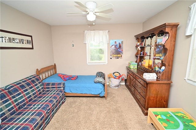 48 Mary Ann Ln, Youngstown, OH 44511 - bedroom featuring carpet flooring and ceiling fan