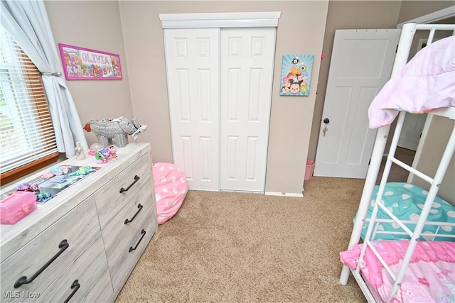 48 Mary Ann Ln, Youngstown, OH 44511 - carpeted bedroom with a closet