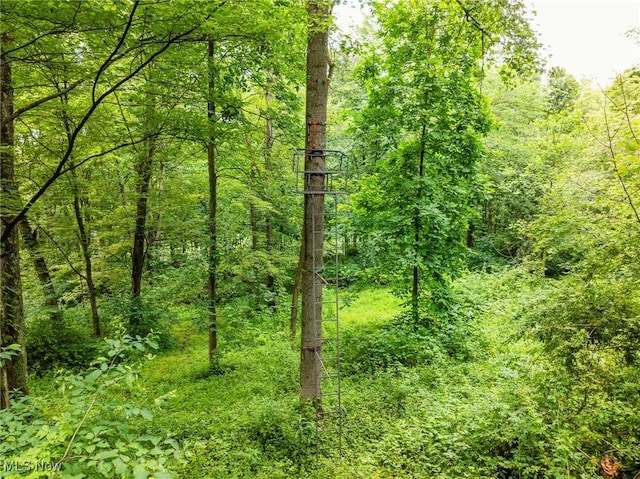 55225 Township Road 224, Fresno, OH 43824 - view of tree filled area
