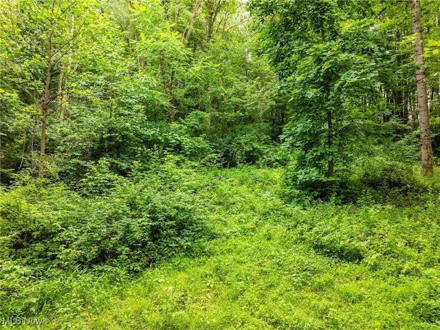 55225 Township Road 224, Fresno, OH 43824 - view of wooded area