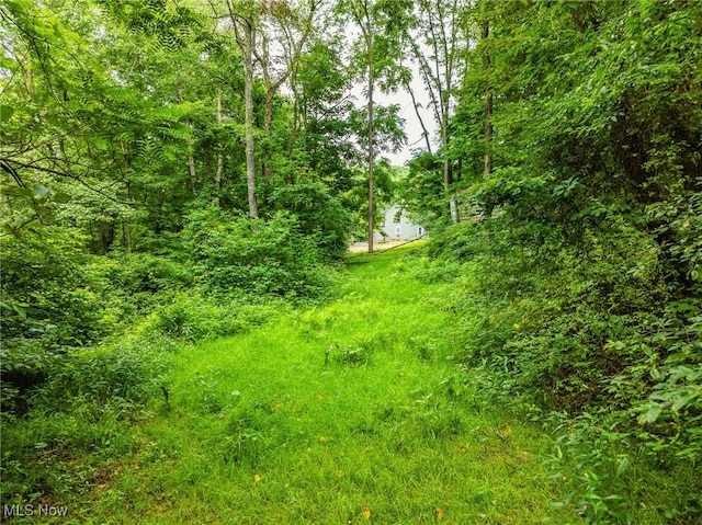 55225 Township Road 224, Fresno, OH 43824 - view of nature