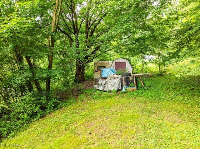 55225 Township Road 224, Fresno, OH 43824 - view of yard with a storage shed