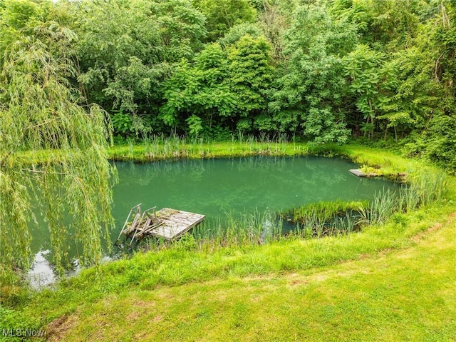 55225 Township Road 224, Fresno, OH 43824 - water view featuring a boat dock