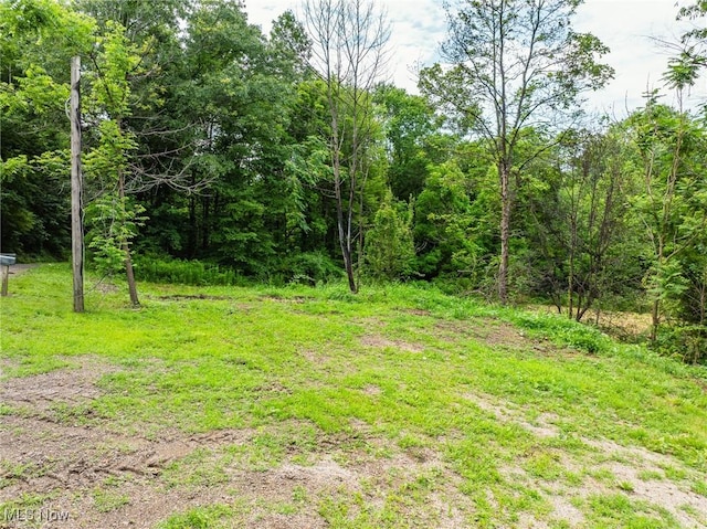 55225 Township Road 224, Fresno, OH 43824 - view of local wilderness