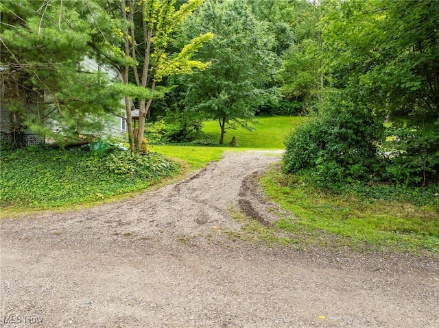 55225 Township Road 224, Fresno, OH 43824 - view of dirt / gravel road