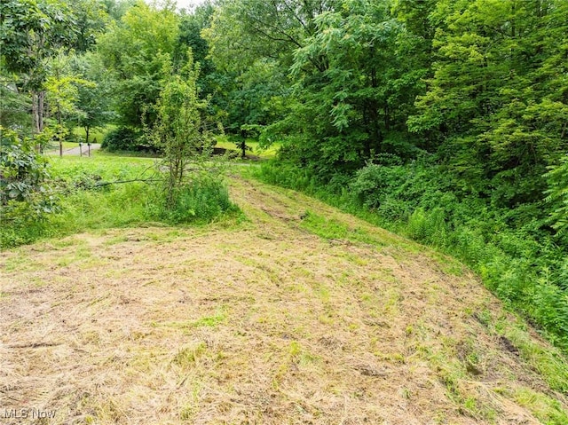 55225 Township Road 224, Fresno, OH 43824 - view of woods