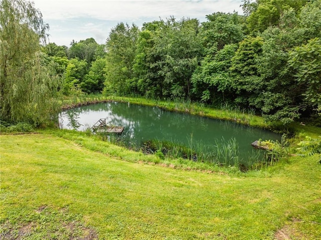 55225 Township Road 224, Fresno, OH 43824 - water view with a heavily wooded area