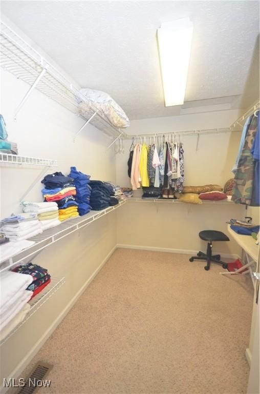 4909 Garnet Cir, Stow, OH 44224 - spacious closet featuring carpet flooring
