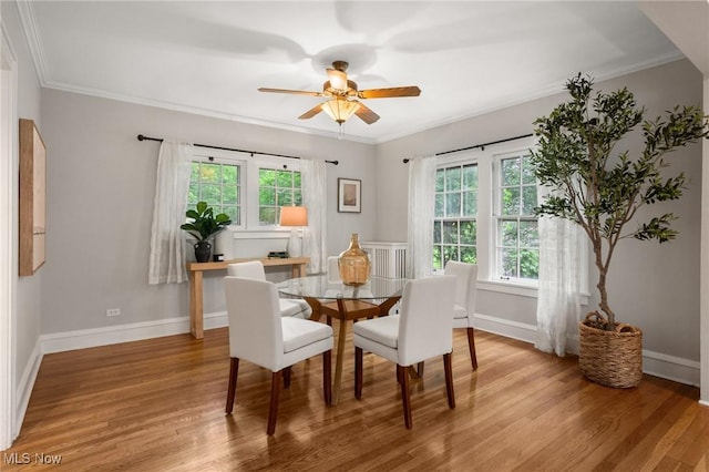 16205 Fernway Rd, Shaker Heights, OH 44120 - dining space featuring light wood finished floors, a ceiling fan, and crown molding