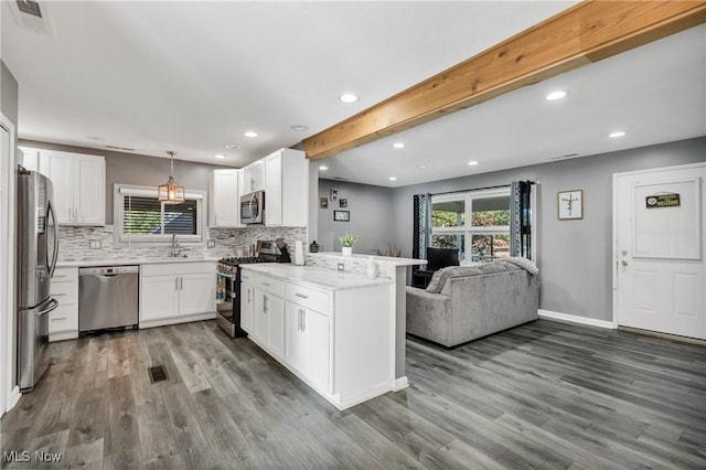 382 Rosemont Ave, Austintown, OH 44515 - kitchen featuring stainless steel appliances, a peninsula, open floor plan, dark wood-style floors, and recessed lighting