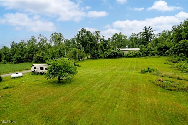 4234 Swigart Rd, Bellville, OH 44813 - view of yard