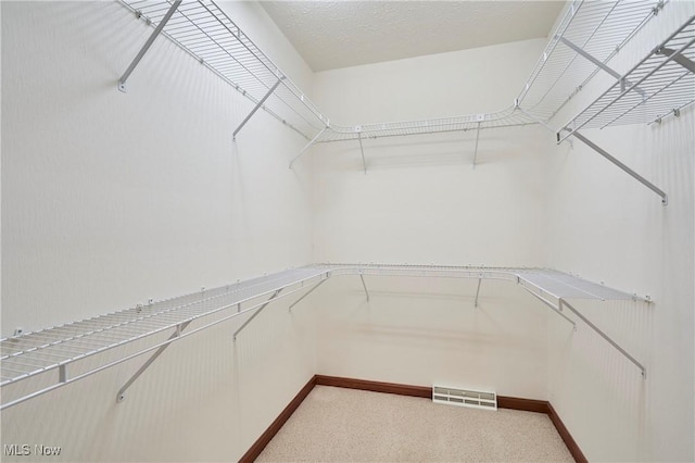 1977 Fox Trace Trl, Cuyahoga Falls, OH 44223 - spacious closet with light carpet