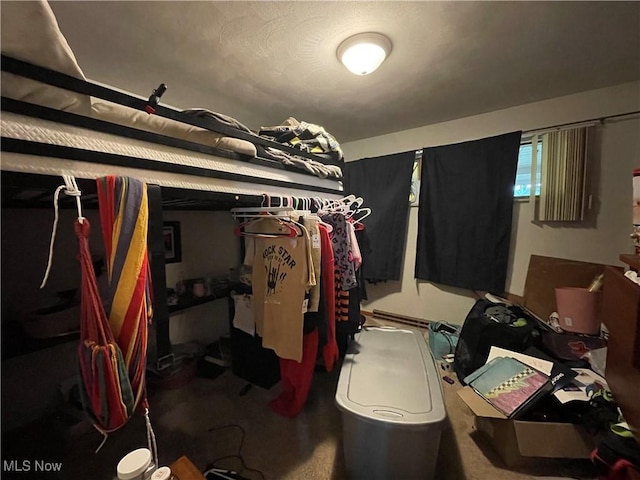 311 Hilda Cir, Bloomingdale, OH 43910 - view of walk in closet