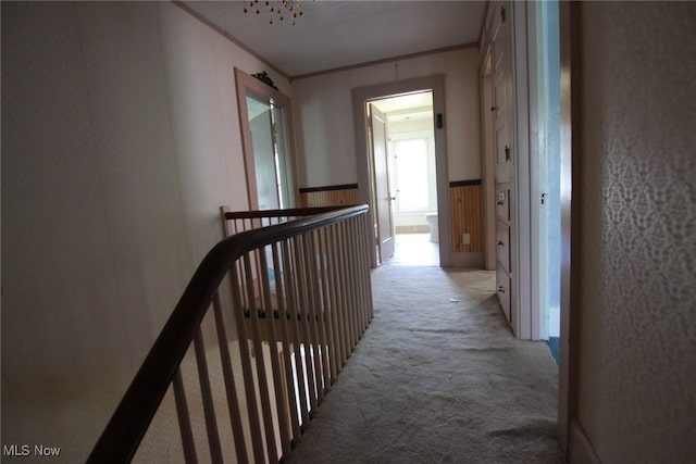 265 W Maryland Ave, Sebring, OH 44672 - photo 18