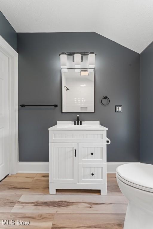 638 High St, Wooster, OH 44691 - bathroom featuring wood finished floors, vanity, and vaulted ceiling