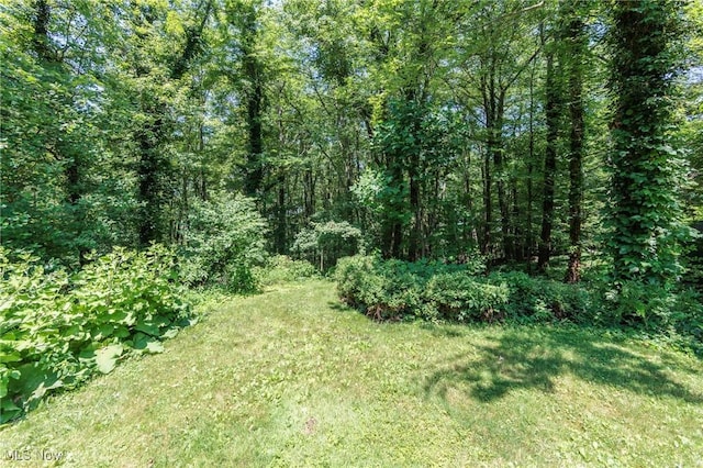 14873 Hook Hollow Rd, Novelty, OH 44072 - photo 34