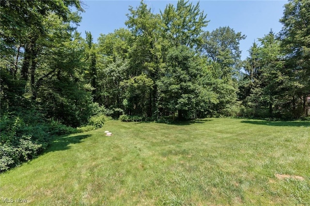 14873 Hook Hollow Rd, Novelty, OH 44072 - photo 35