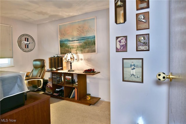 2555 Walnut St, Girard, OH 44420 - office featuring carpet flooring