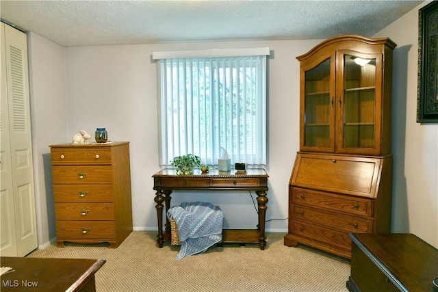 2555 Walnut St, Girard, OH 44420 - bedroom with multiple windows, carpet flooring, and a textured ceiling