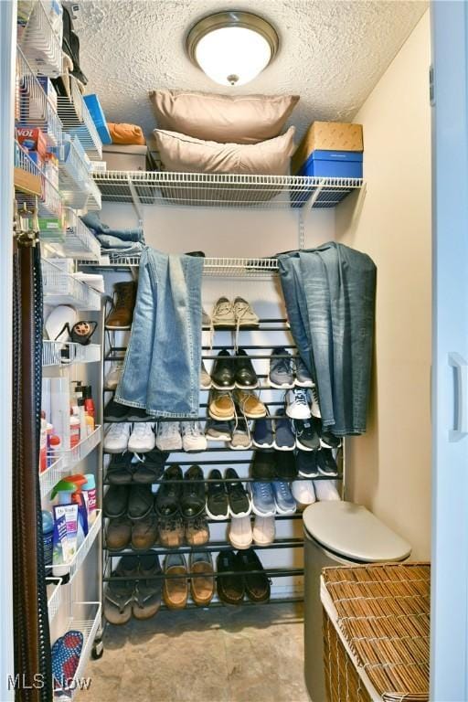 2555 Walnut St, Girard, OH 44420 - view of closet