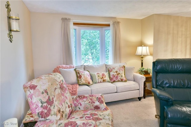 2555 Walnut St, Girard, OH 44420 - view of carpeted living area
