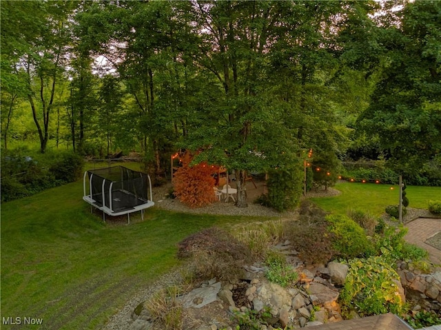 12147 Gladstone Rd SW, North Jackson, OH 44451 - view of grassy yard featuring a trampoline