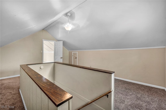 1425 Keefer Rd, Girard, OH 44420 - hallway featuring carpet flooring and lofted ceiling