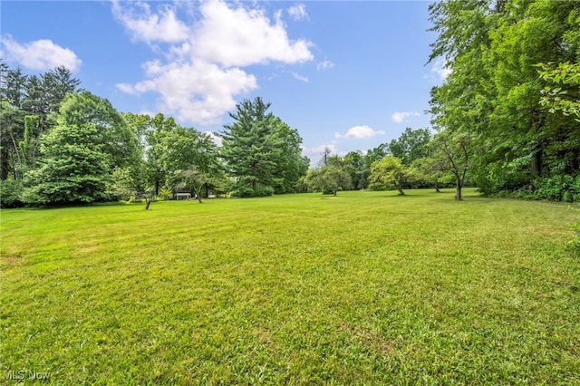1425 Keefer Rd, Girard, OH 44420 - view of grassy yard