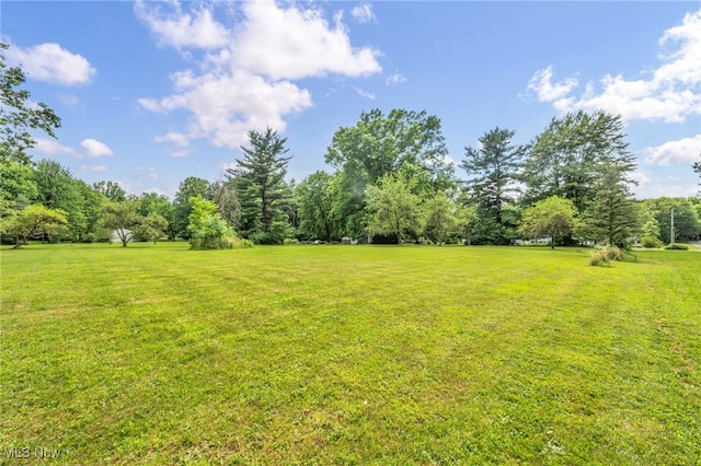 1425 Keefer Rd, Girard, OH 44420 - view of grassy yard