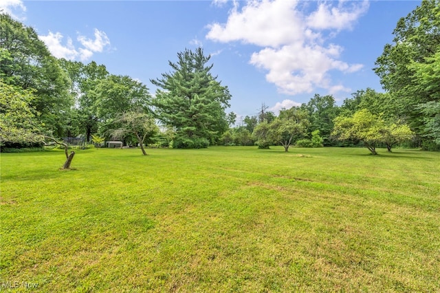 1425 Keefer Rd, Girard, OH 44420 - view of grassy yard featuring view of scattered trees