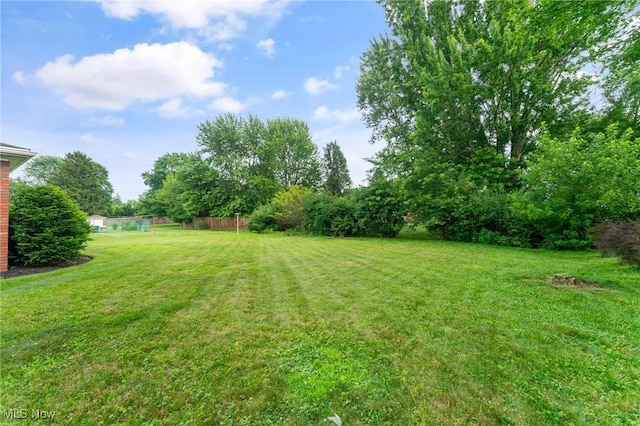 853 Almasy Dr, Campbell, OH 44405 - view of grassy yard