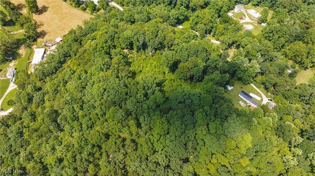 2361 Carpenter Run Rd, Waverly, WV 26184 - aerial view of property and surrounding area featuring a heavily wooded area