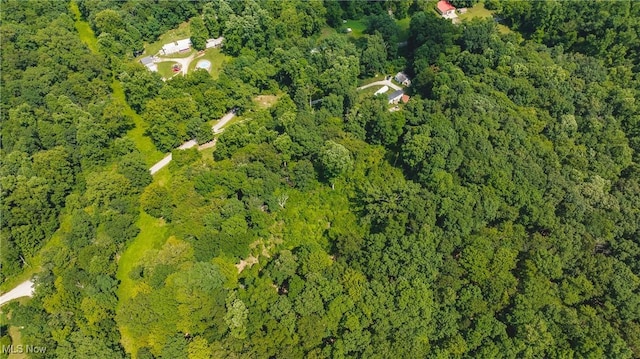 2361 Carpenter Run Rd, Waverly, WV 26184 - view of property location featuring a heavily wooded area