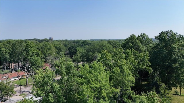 2275 Walden, East Cleveland, OH 44112 - photo 38