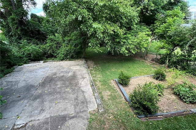 1407 Andrew St, Parkersburg, WV 26101 - view of green lawn