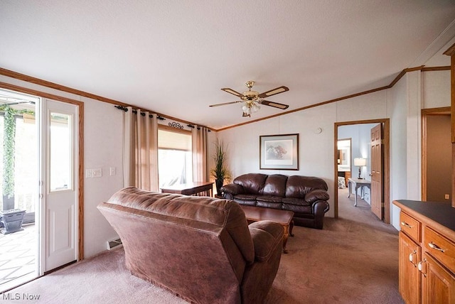 3420 Newton Tomlinson Rd SW, Warren, OH 44481 - photo 17