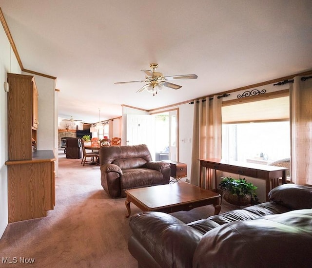 3420 Newton Tomlinson Rd SW, Warren, OH 44481 - photo 18